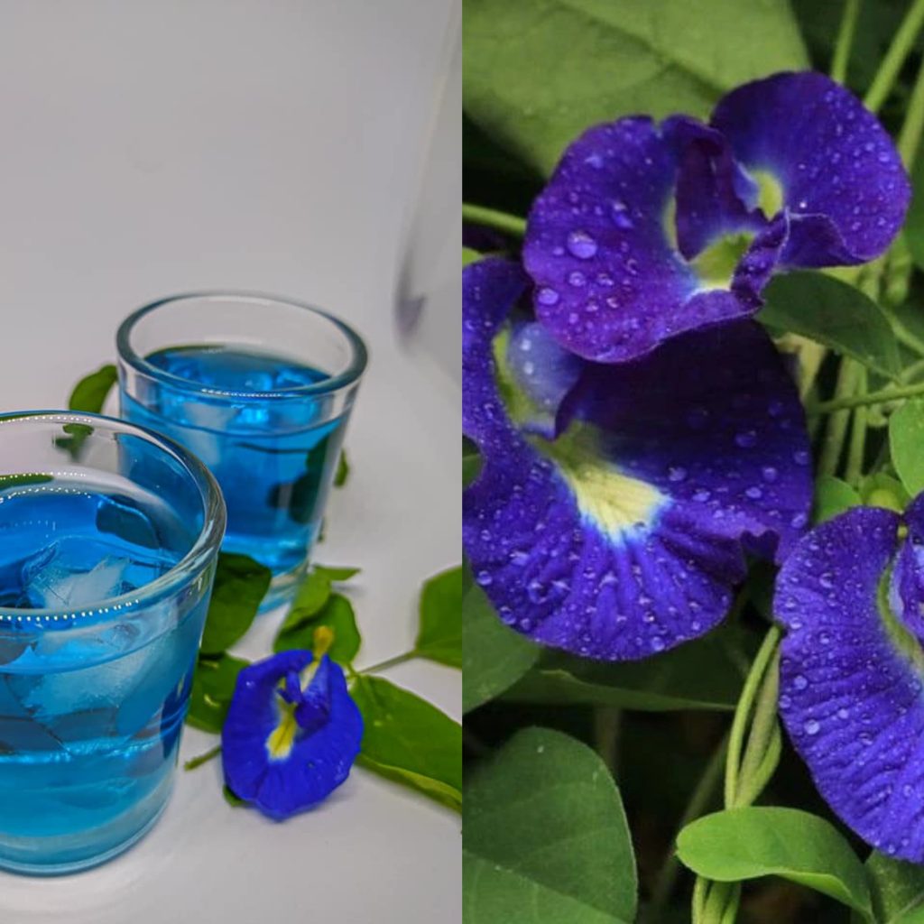 කාලයක් තිස්සේ දුක් විඳින සෙම් රෝගයට මෙන්න සුපිරිම බෙහෙත..