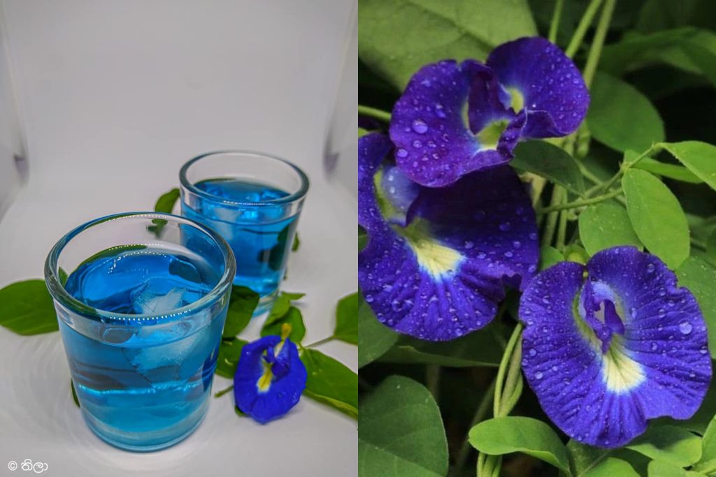 කාලයක් තිස්සේ දුක් විඳින සෙම් රෝගයට මෙන්න සුපිරිම බෙහෙත..