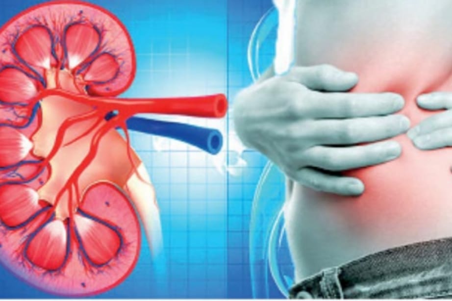 මුත්රා පිටකළ පසු පෙණ ගතියෙන් යුක්තද? වකුගඩු රෝගයක පෙර නිමිත්තක්…